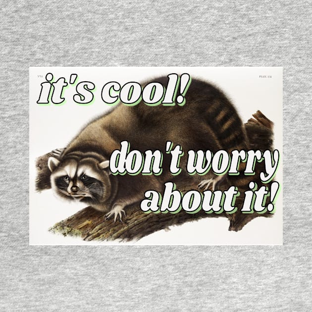 it's cool! don't worry about it! little guy raccoon by ellanely